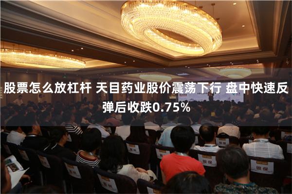 股票怎么放杠杆 天目药业股价震荡下行 盘中快速反弹后收跌0.75%
